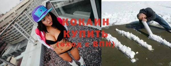 прущие крисы Болотное