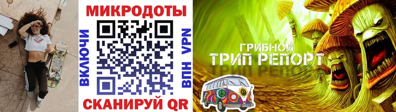 omg ТОР  Лермонтов  Галлюциногенные грибы мухоморы 